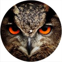 7'' Slipmat - Owl 1 