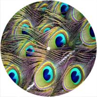 7'' Slipmat - Peacock 2 