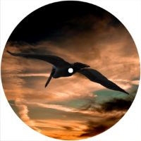 7'' Slipmat - Pelican 1 