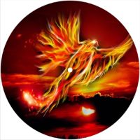 7'' Slipmat - Phoenix 1 