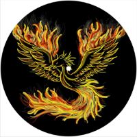 7'' Slipmat - Phoenix 2 