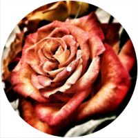 7'' Slipmat - Rose 1 
