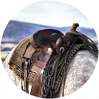 7'' Slipmat - Saddled Up 