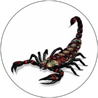 7'' Slipmat - Scorpion 