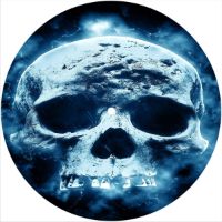7'' Slipmat - Skull Aged 