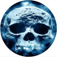 7'' Slipmat - Skull Effect 2 
