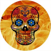 7'' Slipmat - Skull Sugar Flames 