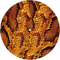 7'' Slipmat - Snake Skin YL 