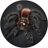 7'' Slipmat - Spider 7 
