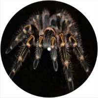 7'' Slipmat - Spider 4 