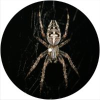 7'' Slipmat - Spider 9 