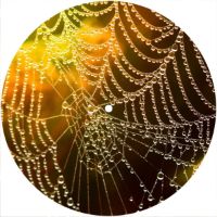 7'' Slipmat - Spider Web Wet 2 