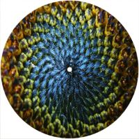 7'' Slipmat - Sun Flower Macro 