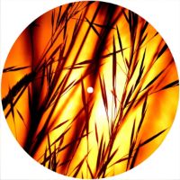 7'' Slipmat - Sunset Grass 