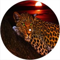 7'' Slipmat - Sunset Leopard 