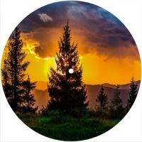 7'' Slipmat - Sunset Tree 3 