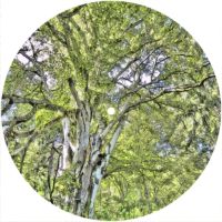 7'' Slipmat - Tree 2 