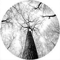 7'' Slipmat - Tree 3 