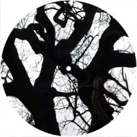 7'' Slipmat - Tree Branches 