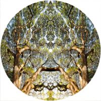 7'' Slipmat - Tree Effect 1 