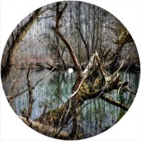 7'' Slipmat - True Forest 1 