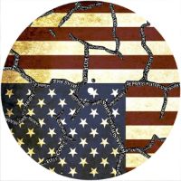 7'' Slipmat - US Crisis 