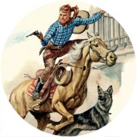 7'' Slipmat - Wild West 3 