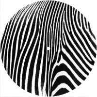 7'' Slipmat - Zebra 2 