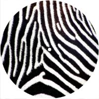 7'' Slipmat - Zebra 