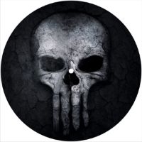 7'' Slipmat - skull 