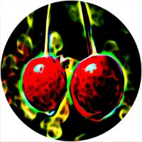 12'' Slipmat - Artistic Cherries 
