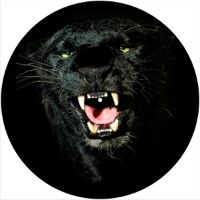 12'' Slipmat - Black Panther 