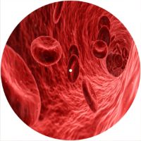 12'' Slipmat - Blood 1 