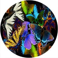 12'' Slipmat - Butterflies 