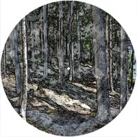 12'' Slipmat - Camouflage Abstract 3 