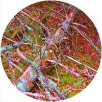 12'' Slipmat - Camouflage Abstract 5 