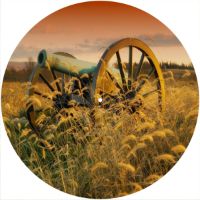 12'' Slipmat - Canon 1 