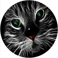 12'' Slipmat - Cat 5 