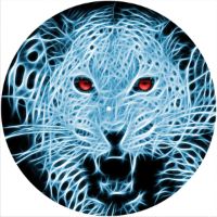 12'' Slipmat - Cat Neon Leopard 