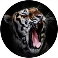 12'' Slipmat - Cat Tiger 1 