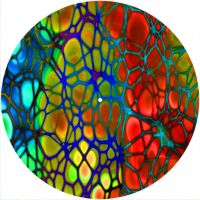 12'' Slipmat - Cells 3 
