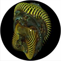 12'' Slipmat - Coils 1 