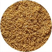 12'' Slipmat - Corn 