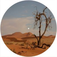 12'' Slipmat - Desert Sand 1 