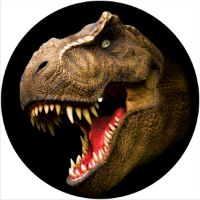 12'' Slipmat - Dinosaur Raptor 
