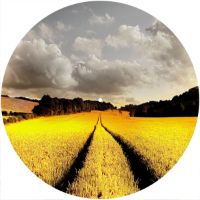 12'' Slipmat - Field Tracks 