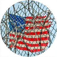 12'' Slipmat - Flag Caged Patriot 