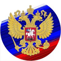 12'' Slipmat - Flag Russian 1 