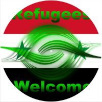 12'' Slipmat - Flag Syria 