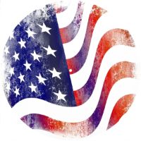 12'' Slipmat - Flag US Abstract 